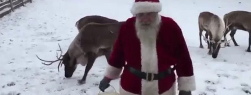 Free Thing to Do While Waiting for Santa: Watch the Reindeer Cam!