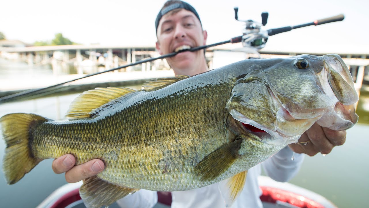 How to Fool Lure-Shy Bass in Texas