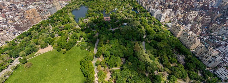 Central Park New York City