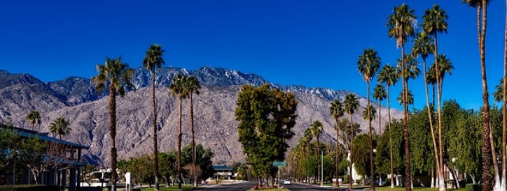 Palm Springs Family Vacation Guide