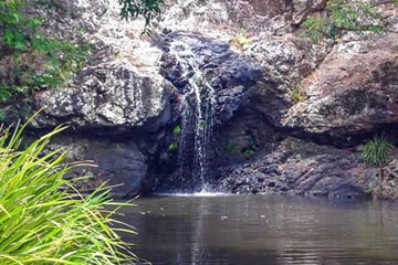 Day Trip To Maleny And See The Waterfalls