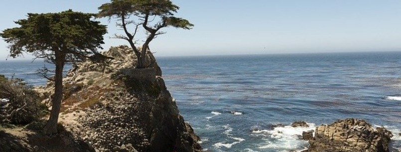 Romance in Monterey, California