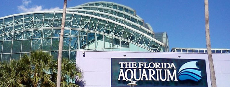 Tampa Florida Aquarium