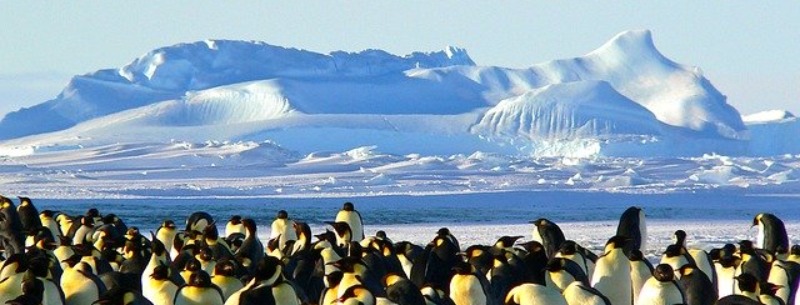 Antarctica visitors guide