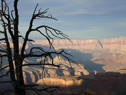 grand canyon from grandview point
