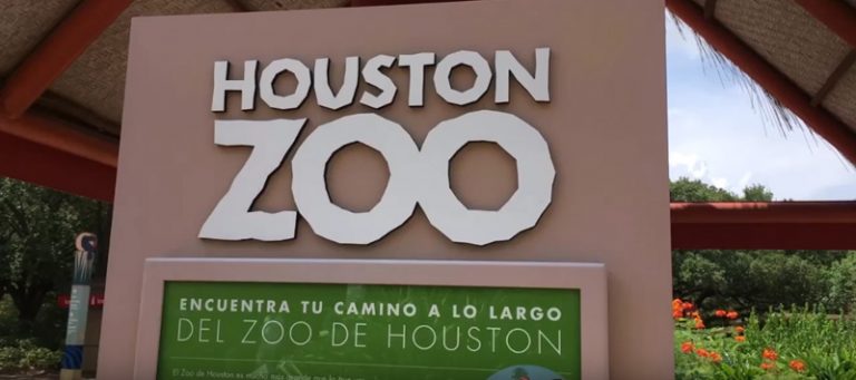 5. Toronto Zoo - Membership - wide 10
