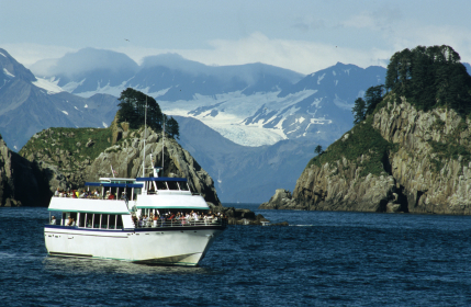 kenai fjord cruise