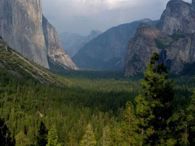 Surreal Scenery of Yosemite Valley