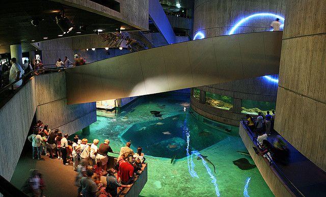 National Aquarium in Baltimore, Inner Harbor MD - 03 | The places ...