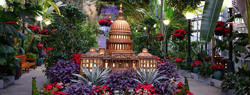 United States Botanic Garden in Washington, DC