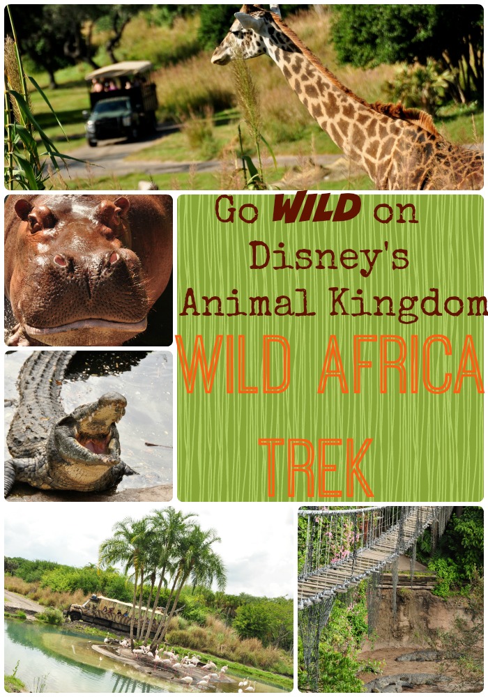 disney, animal kingdom, african safari, disney tour, orlando, family travel, travel