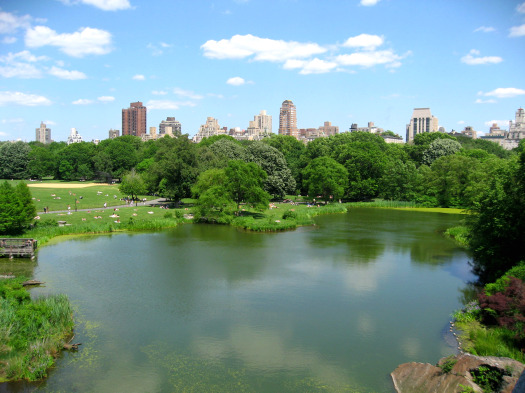 https://www.freefunguides.com/wp-content/uploads/2020/05/central-park-new-york.jpg