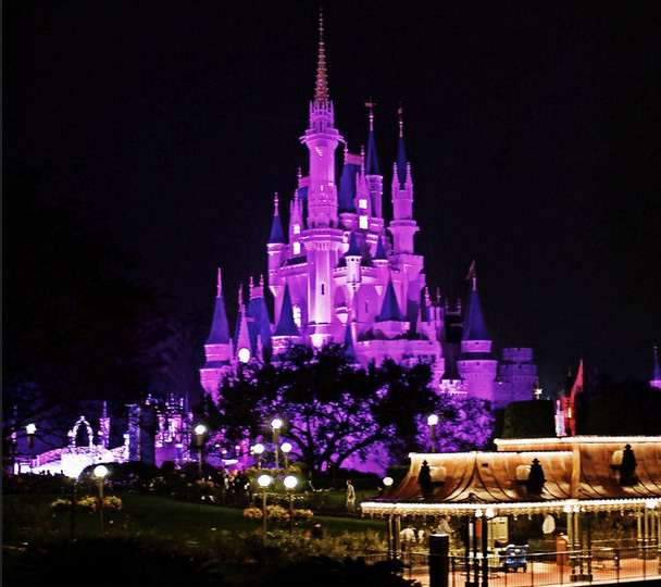 Cinderellas Castle at Night