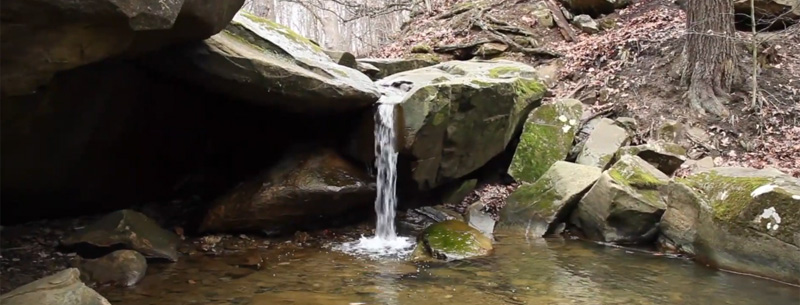 Explore the Best of Cleveland Metroparks
