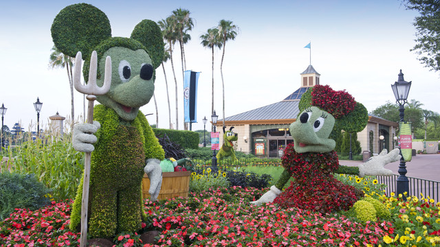 Disney Discounts for Military Personal and Their Families