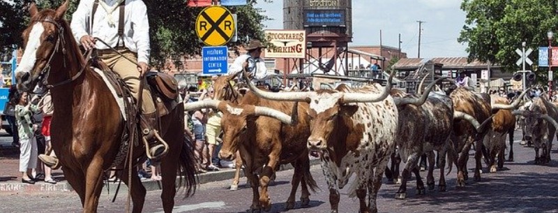 Family Attractions in Fort Worth