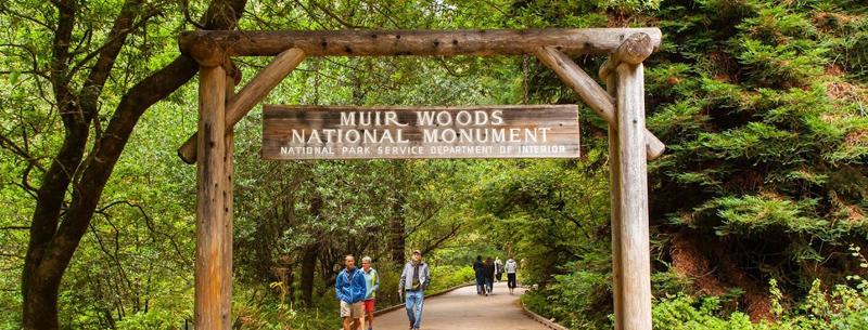 Muir Woods Park