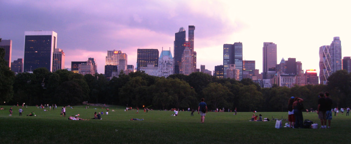 Sheep Meadow Central Park