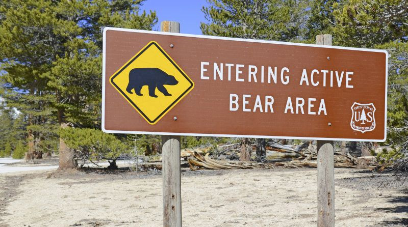 bear warning sign Great Smoky Mountains National Park