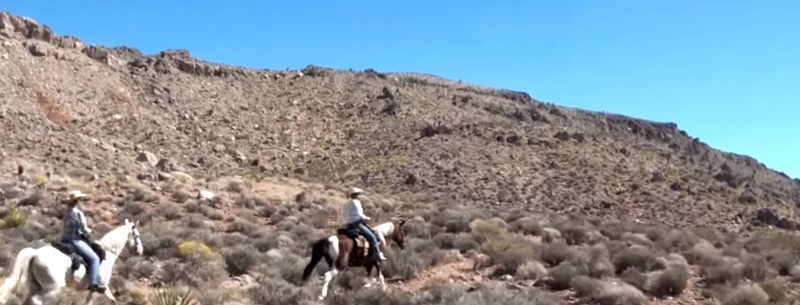 Horseback Tour Package of Red Rock Canyon