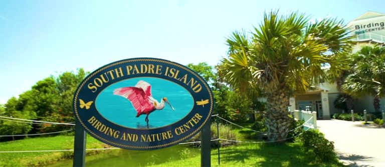 birding tours south padre island