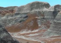 Painted Desert & Petrified Forest