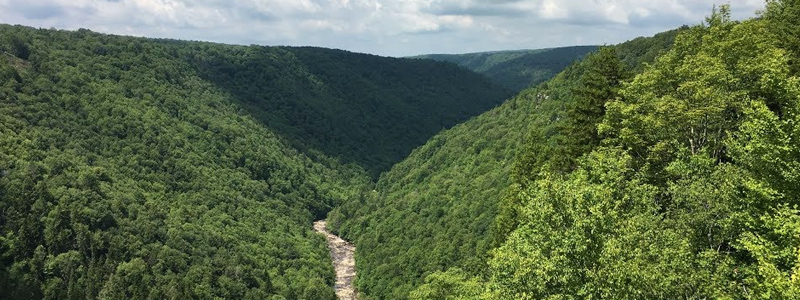 Canaan Valley, a West Virginia Getaway