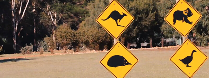 Things to Do on Kangaroo Island