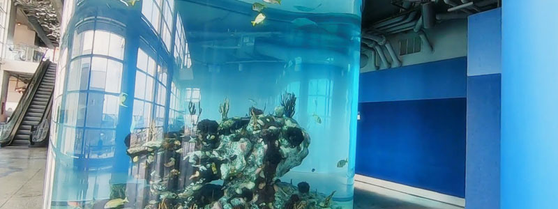 Charleston Aquarium