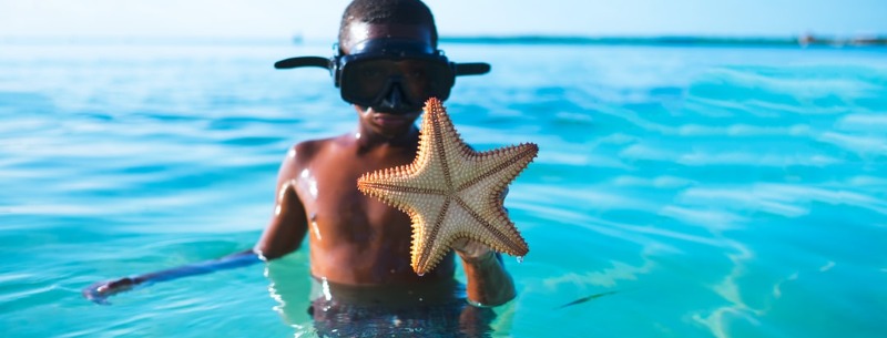 Best Caribbean Islands for Families and Kids
