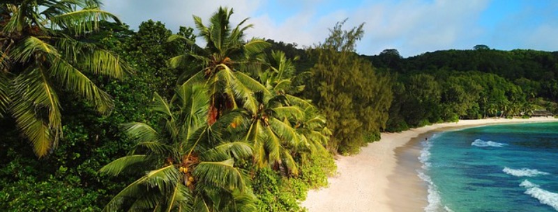 Beach Guide to Barbados