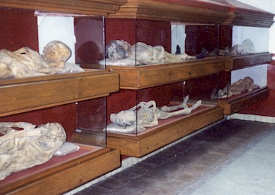 Many of the mummies are displaying in repose, and many are unclothed.