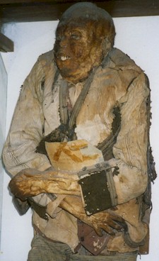 Some of the mummies are displayed standing up.