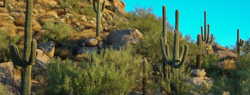 Free Scottsdale Things To Do