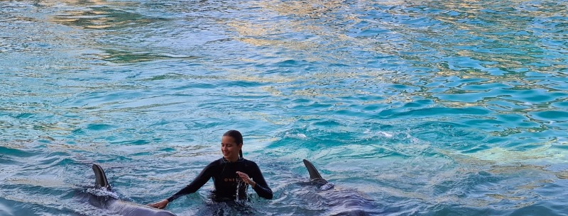 Florida Swim with Dolphins