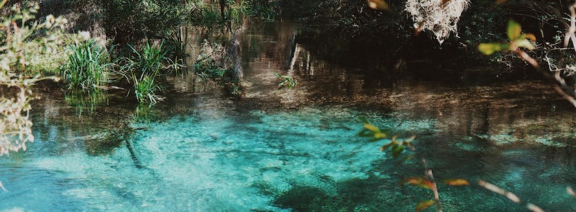 Natural Springs in Florida