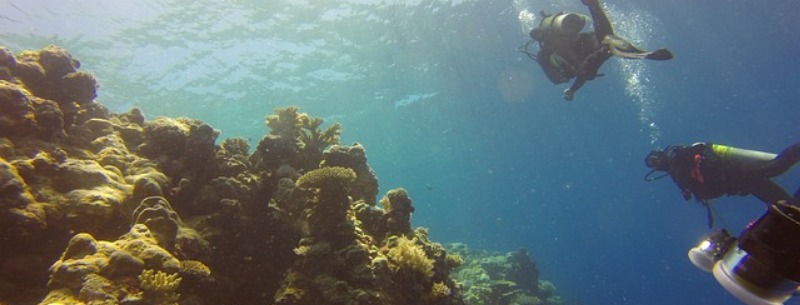 North Caicos Island  Diving