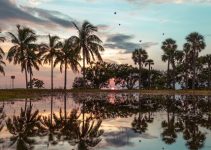 Florida Keys: Unforgettable One-Day Getaway