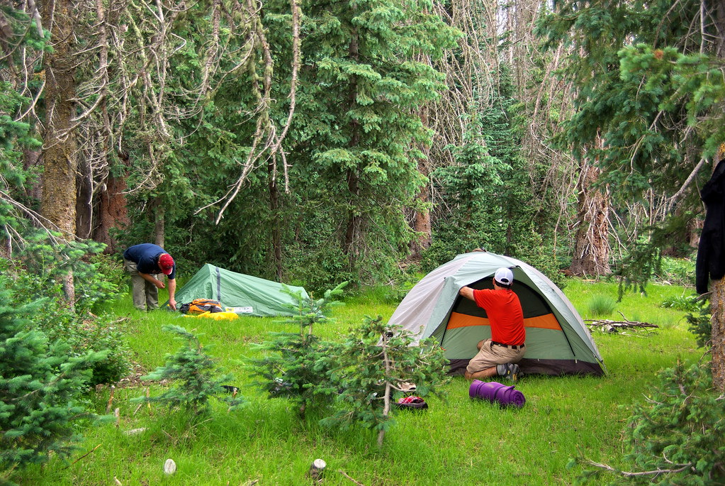 Camping Northeast Arizona