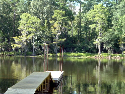 Caddo Lake Boat Ramp