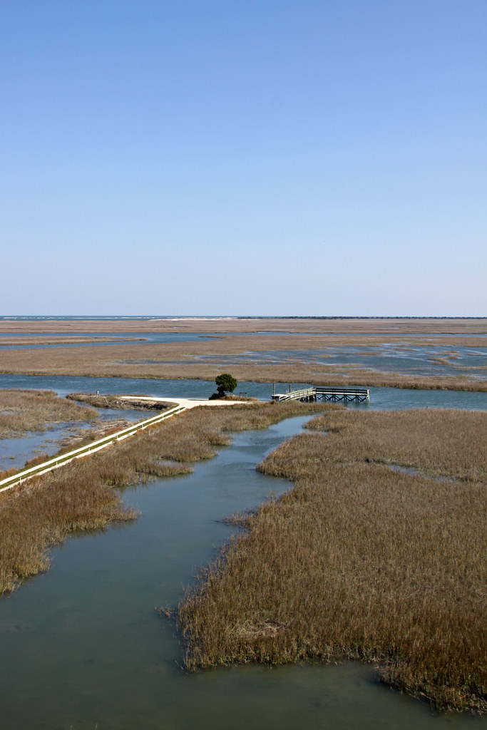 Hobcaw Barony,Tower View