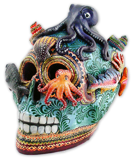 Alfonso Castillo's Skull