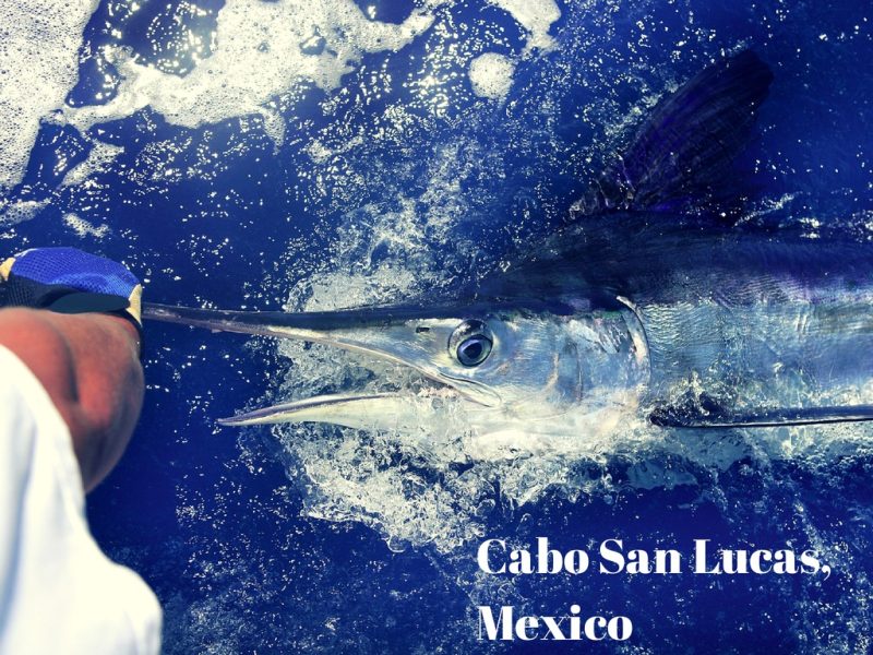 Cabo San Lucas, Mexico one of the best fishing destinations in the world