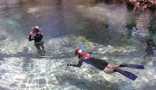 Snorkeling in Florida springs