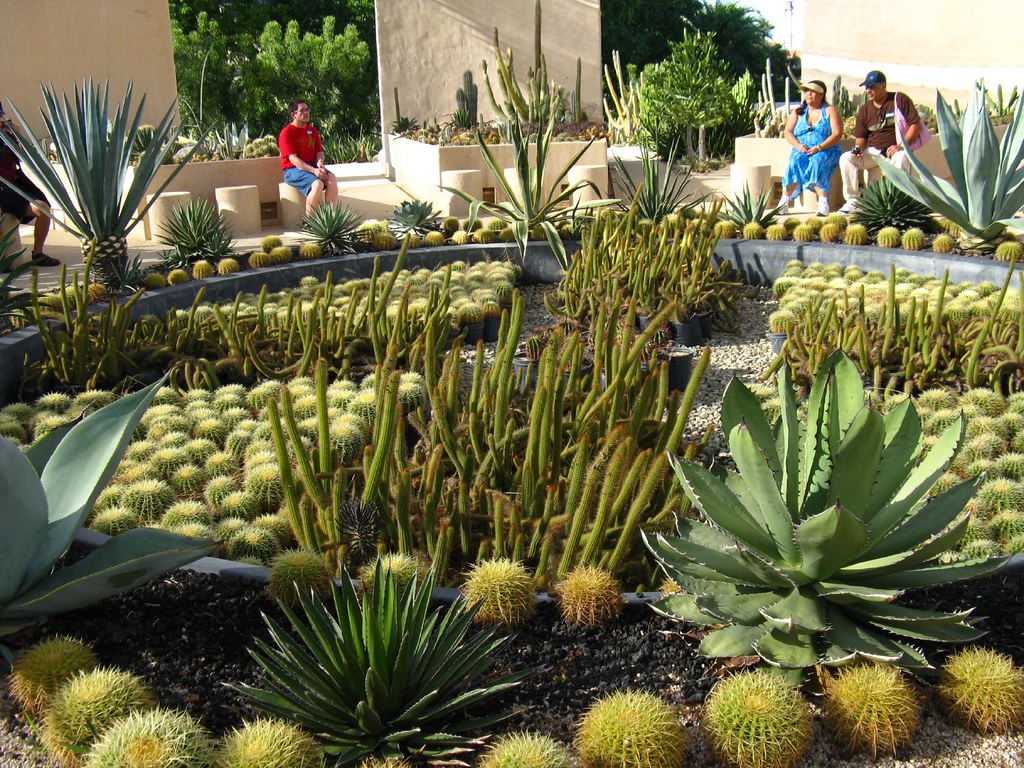 Cacti Mundo Botanical Gardens