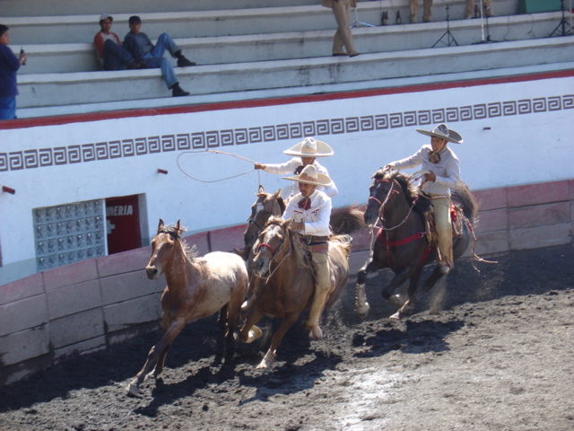 Charros competing in a charreada in Mexico