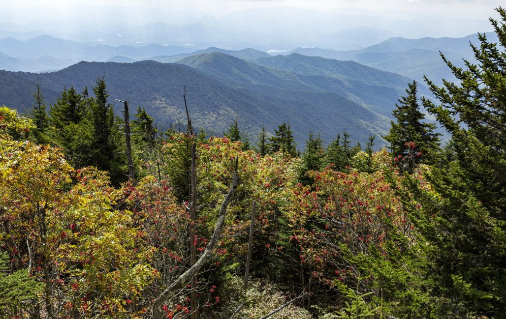 View east from Clingman's Dome