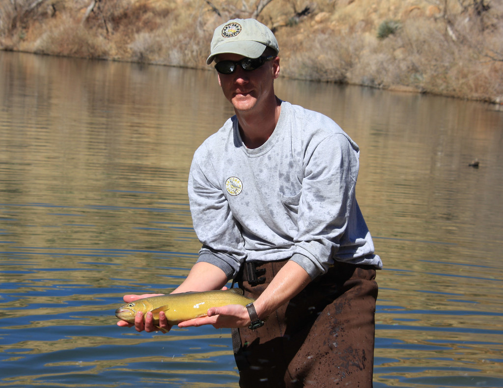 Releasing a Gila Trout