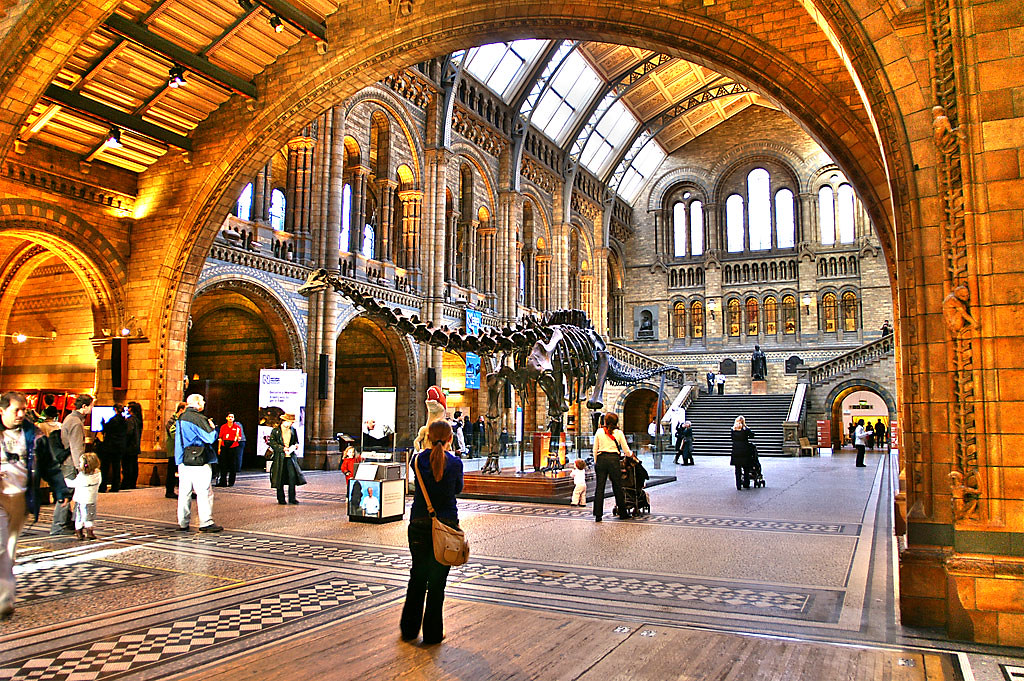 Natural History Museum - Kensington - London