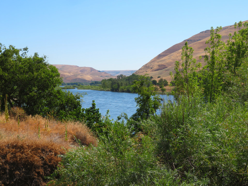 Northwest Passage Scenic Byway, Clearwater River, U.S. Route 12, East of Lewiston, Idaho